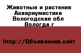 Животные и растения Аквариумистика. Вологодская обл.,Вологда г.